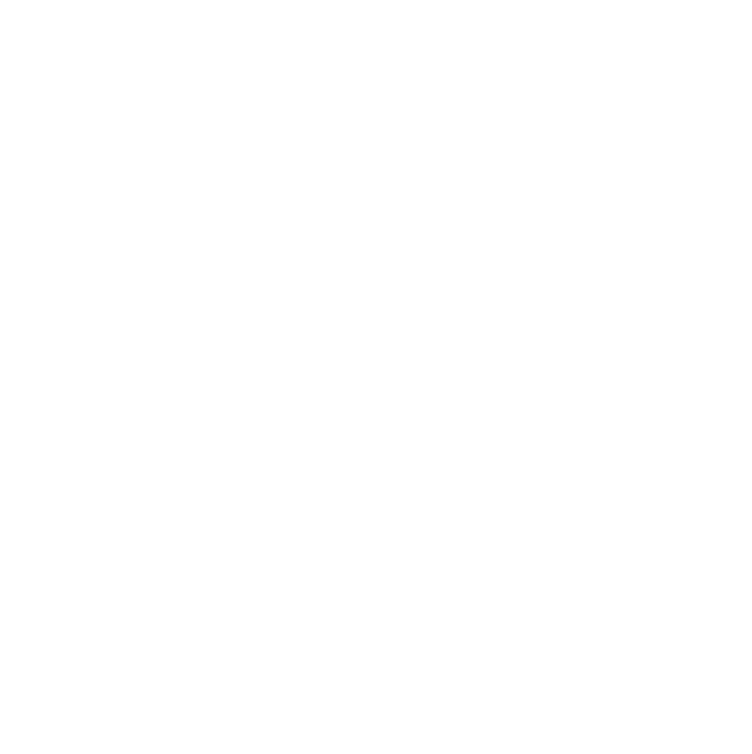 Boy 'n' Cow